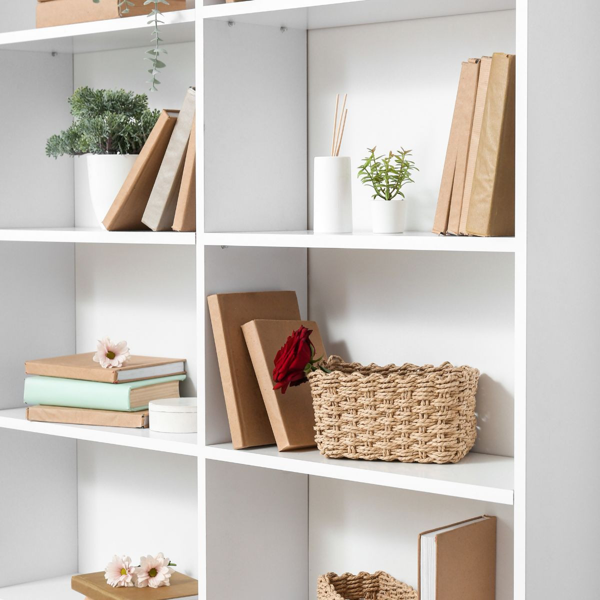 rendezett fenntartható otthon - tiszta és szellős polcok