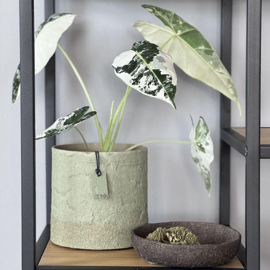 Terasz gyertyafénnyel