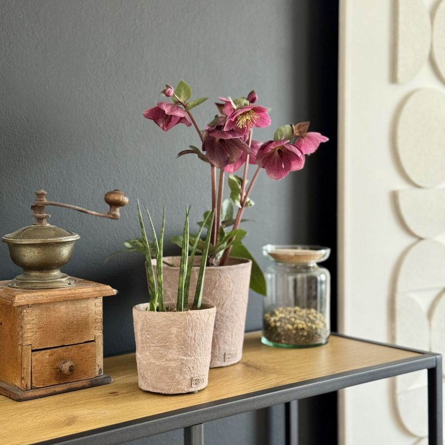 Tudatos otthon projekt