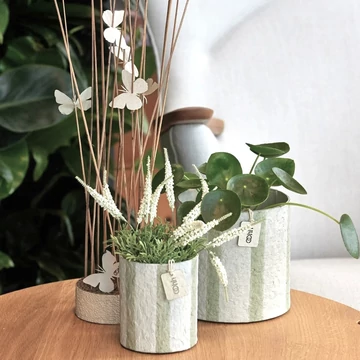 ampton kaspók és papír pillangó dekor természetes kompozícióban