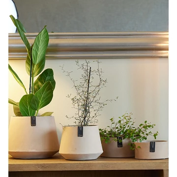 TOKYO mini tároló, világosbarna, XS