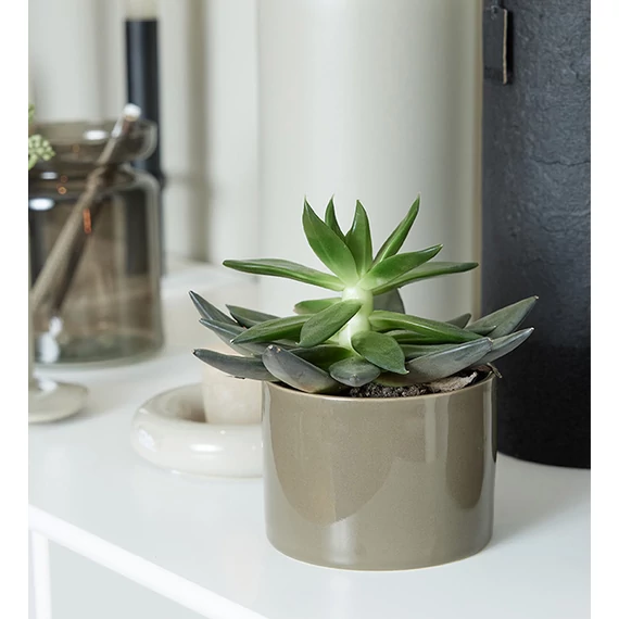 OMUG kerámia – elegáns tálalóedény és növénytartó