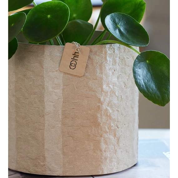 Bézs kaspó – fenntartható otthonokhoz, Hampton L