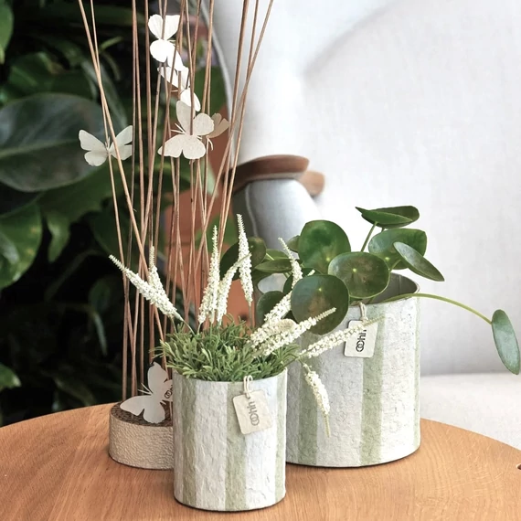 ampton kaspók és papír pillangó dekor természetes kompozícióban