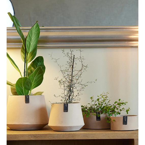 TOKYO mini kaspó készlet, 2db, szürke, XS