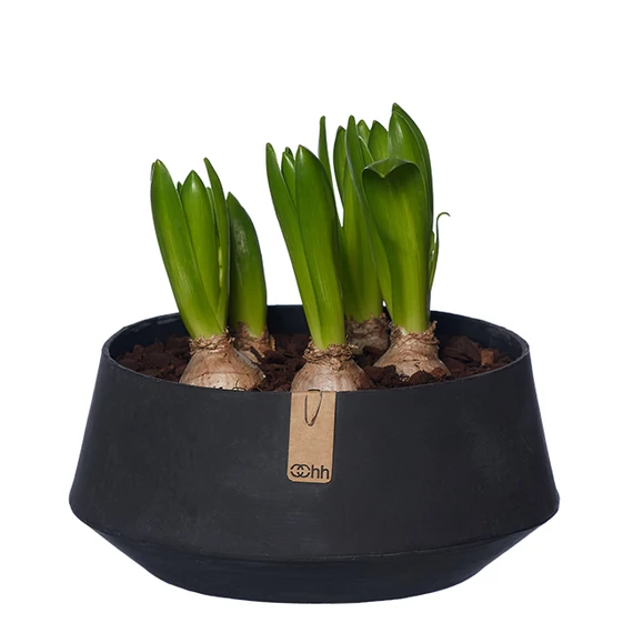 TOKYO tál - szürke - L