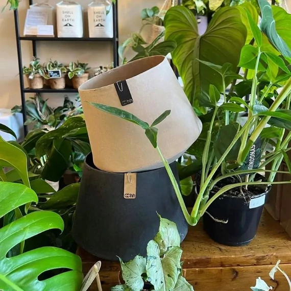 TOKYO kaspó, szürke, L