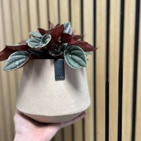 TOKYO kaspó, szürke, L