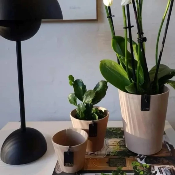 TOKYO mini kaspó készlet, 2db, szürke, XS